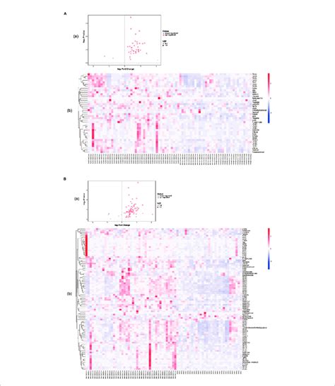 A Volcano Plot A And Heatmap Of Hierarchical Clustering Analysis Download Scientific