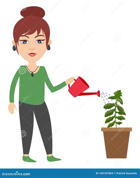 Woman Watering Plant Illustration Vector Stock Vector Illustration