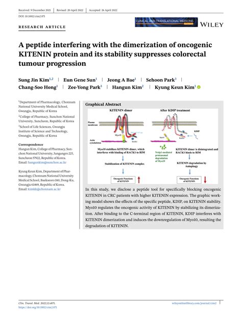 PDF A Peptide Interfering With The Dimerization Of Oncogenic KITENIN