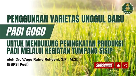 Penggunaan Varietas Unggul Baru Padi Gogo Oleh Dr Wage Ratna Rohaeni