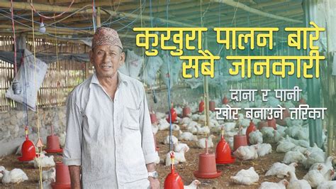 Poultry Farming Business In Nepal। कुखुरा पालन । Kukhura Palan