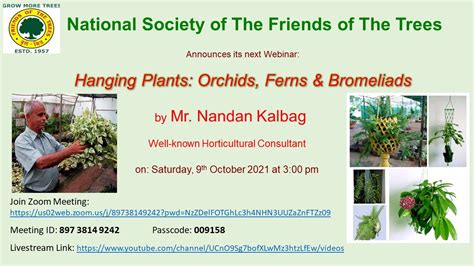 Fots Webinar On Hanging Plants Orchids Ferns And Bromeliads By Nandan Kalbag Youtube