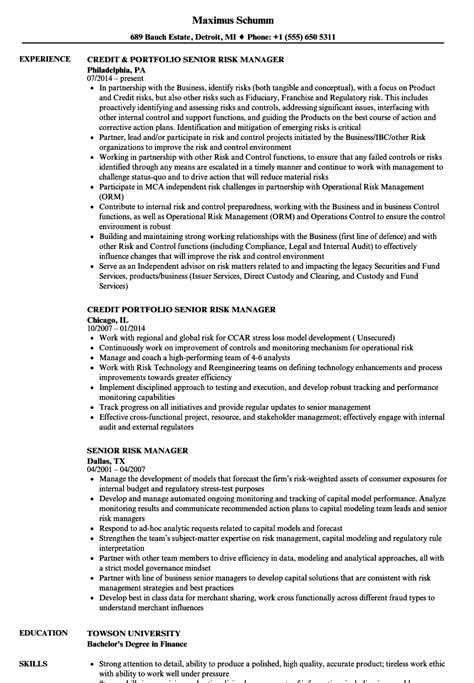 Senior Risk Manager Resume Samples Velvet Jobs