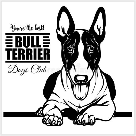 Bull Terrier Vector Illustration For T Shirt Logo And Template