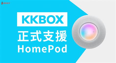 Kkbox 正式支援 Homepod Homepod Mini，教你設定與連動！ 塔科女子