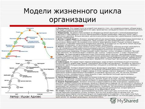 Презентация на тему: "Управление организацией Неправский Александр ...