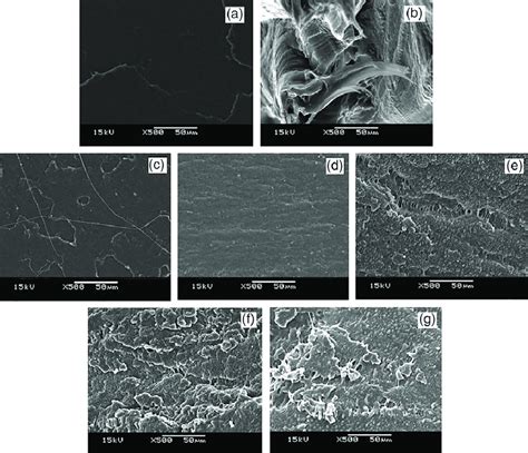 Representative Sem Images Of A Pla B Pbat And C G