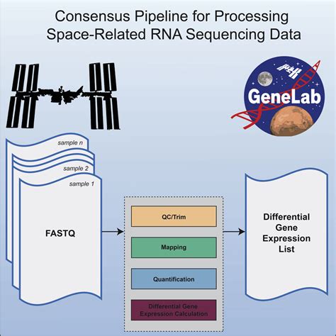 Nasa Genelab Rna Seq Consensus Pipeline Standardized Processing Of