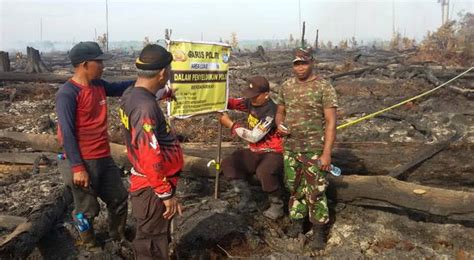 Lahan Terbakar Di Bengkalis Dipasangi Police Line Okezone News