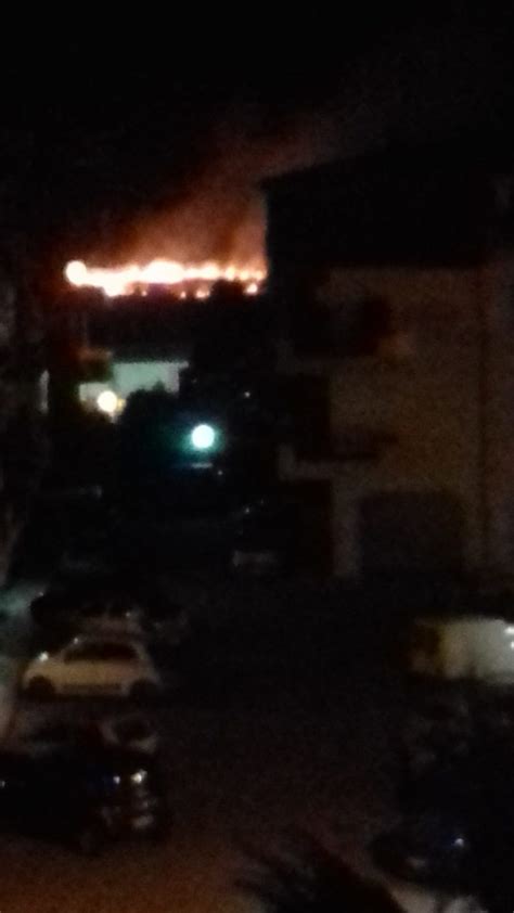 Incendio A Caulonia Marina Interviene La Protezione Civile Ciavula