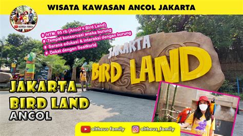 Review Wisata Baru Di Ancol Jakarta Bird Land YouTube