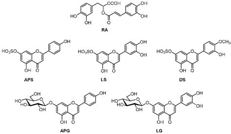 Chemical Structures Of The Phenolic Metabolites Of Z Noltei