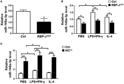 Frontiers Mir 148a 3p Mediates Notch Signaling To Promote The