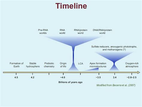 Theory Of Evolution: Timeline Of The Theory Of Evolution