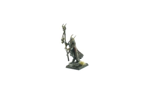 Warhammer Fantasy Beastmen Great Bray Shaman WHTREASURY