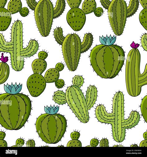 Vector Seamless Pattern Of Different Cacti Cute Background From