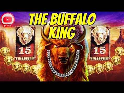 Let S Get Buffalo Gold Heads Live Youtube