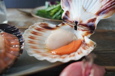 Ganze Jakobsmuscheln Mit Corail In Der Schale