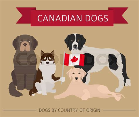 Dogs by country of origin. Canadian dog breeds. Infographic template ...