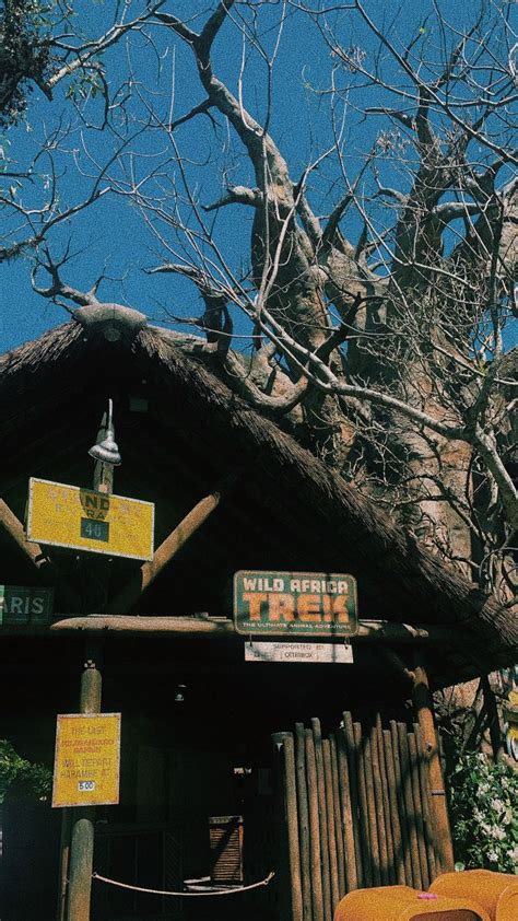 There Are Many Signs On The Roof Of This Hut That Is In Front Of A Tree