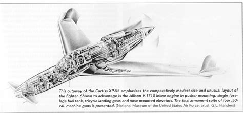 Curtiss_XP-55_Ascender_ | Aircraft of World War II - WW2Aircraft.net Forums