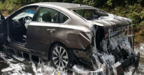 Thousands Of Slime Eels Spill Onto Oregon Highway In Gross Gooey Crash