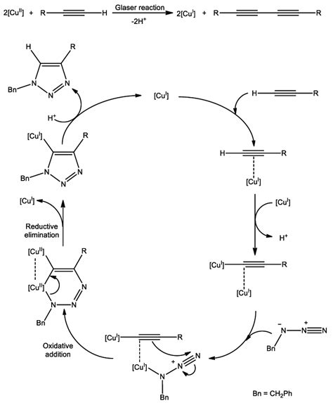 Scheme 4 Proposed Catalytic Cycle For The Cuaac Reaction Download