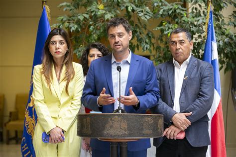 Diputados Manouchehri Y Cicardini Ps Anuncian Proyecto De Ley Para