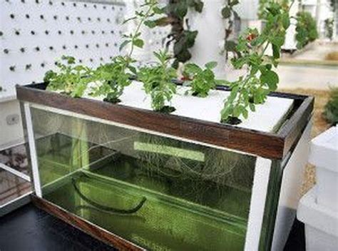 23 Fascinating Diy Small Aquaponics Design 2018 03 13 23