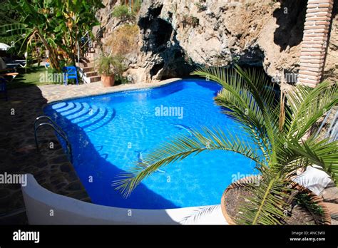 Looking Down Over Potted Palm Tree Onto Bright Blue Swimmingpool Stock