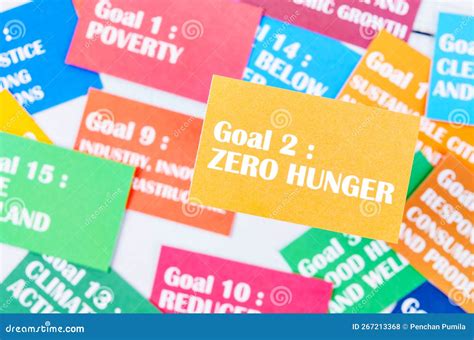 The Goal 2 Zero Hunger The Sdgs 17 Development Goals Environment