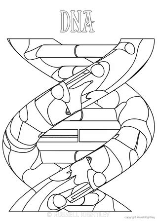 Dna Coloring Pages