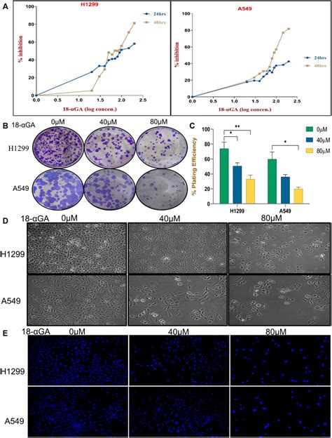 Frontiers Integrated Network Pharmacology And Experimental Analysis Unveil Multi Targeted