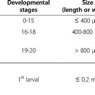 Description of embryonic and larval stages used for the transcriptomic ... 