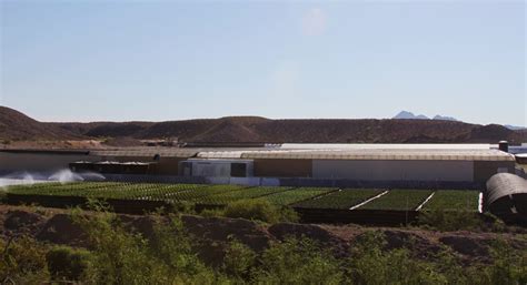 Cropped Img6367 Masson Farms Of New Mexico