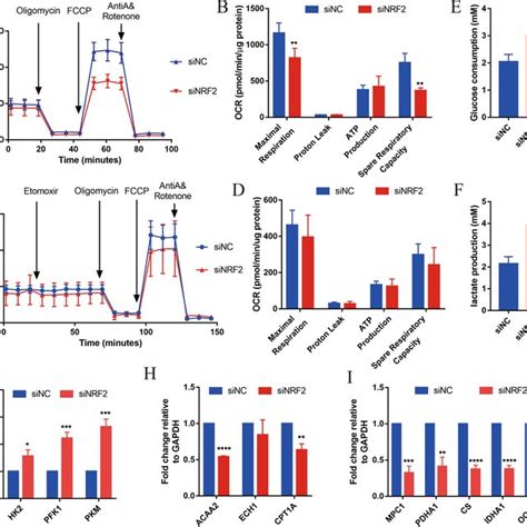 Characterization Of Hipsc Cms A Immunostaining Of Hipsc Cms For Ctnt