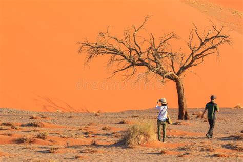 Turistas En La Famosa Duna El Parque Nacional Namibnaukluft De