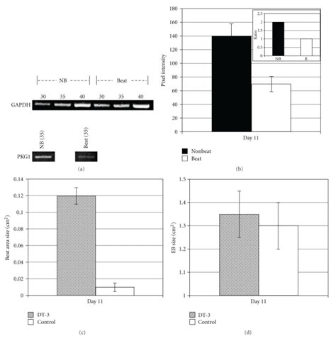 Gene Expression Was Measured By Semiquantitative Rt Pcr Using Download Scientific Diagram