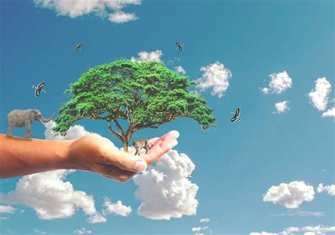 El Concepto De Salvar El Mundo Protegiendo El Medio Ambiente Rbol En