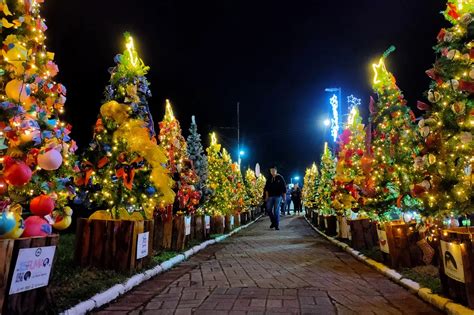 Campos Do Jord O Natal Dos Sonhos Encanta Turistas Que Visitam A