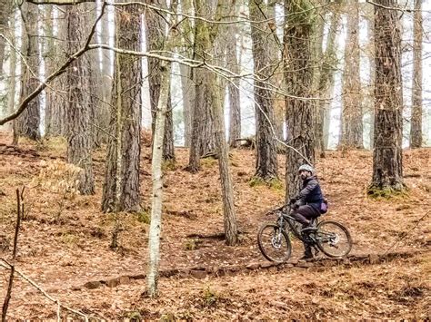 Mejores Rutas en bicicleta BTT y cicloturismo en La Rioja Guías Viajar