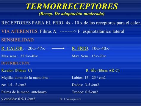 Termorreceptores Y Nociceptores