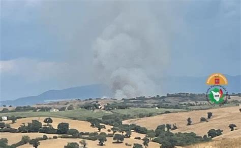 Incendio Di Vaste Proporzioni A Campagnatico Gr Mezzi Aerei In