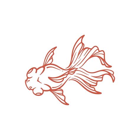 Premium Vector Hand Drawn Goldfish Line Art Goldfish Vector Illustration