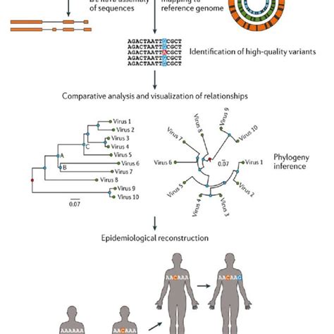 Pdf A World Without Bacterial Meningitis How Genomic Epidemiology