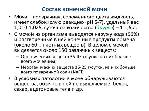 Анатомия и физиология мочевыделительной системы - презентация онлайн