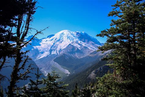 The Six Best Day Hikes in Mount Rainier National Park