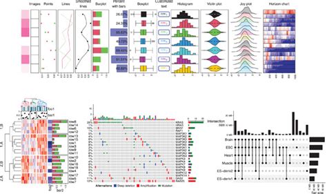 Complex Heatmap Visualization Gu 2022 IMeta Wiley Online Library