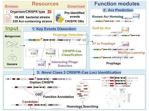 Team Develops Crispr Tool With Big Data Visualization Platform For