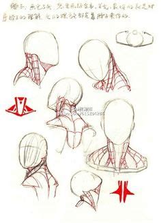anatomy neck ideas anatomy anatomy reference anatomy drawing